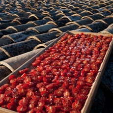 pomodori dorilli